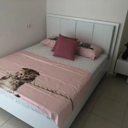 Lory Queen Luxury Алания